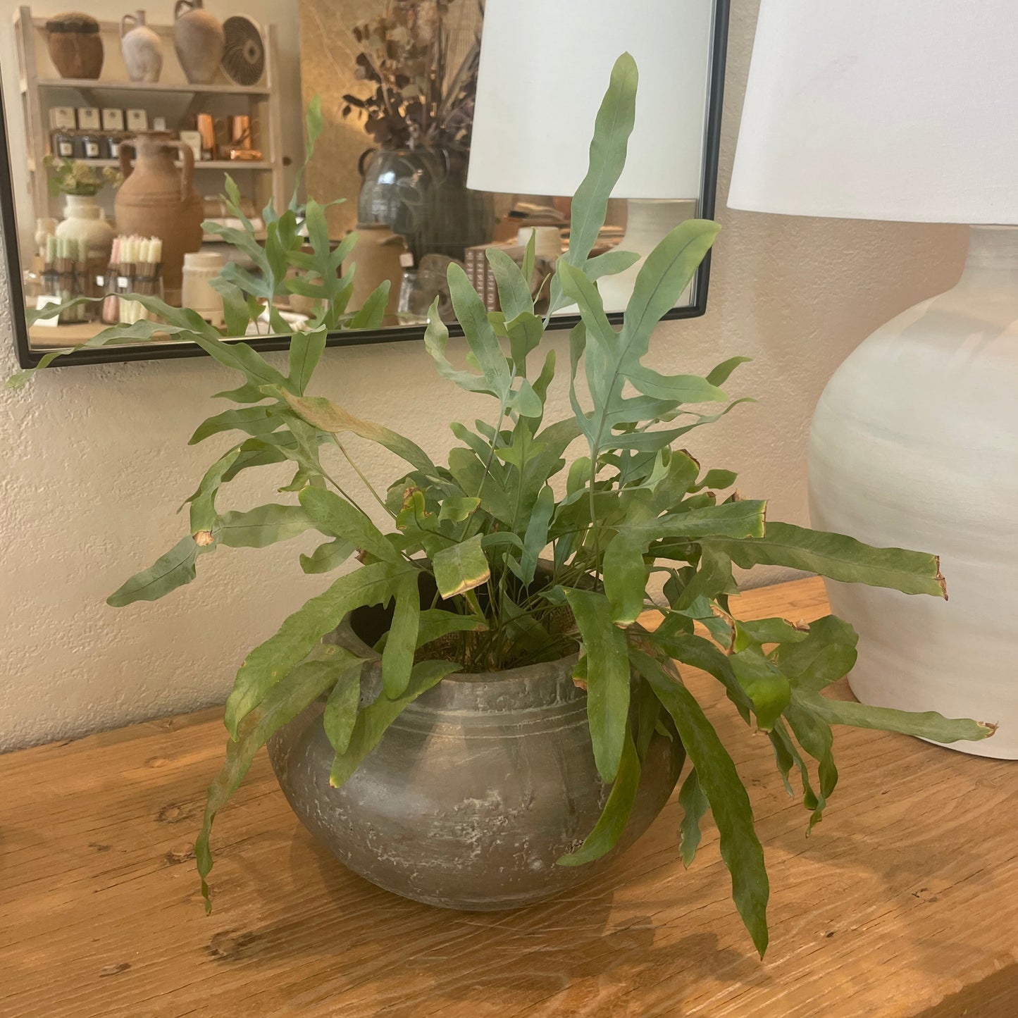 
                  
                    Stoneware Vase
                  
                