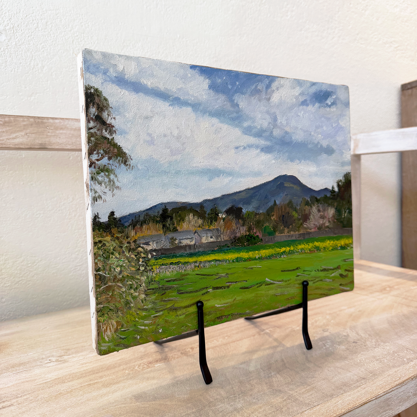 Painting on a book shelf
