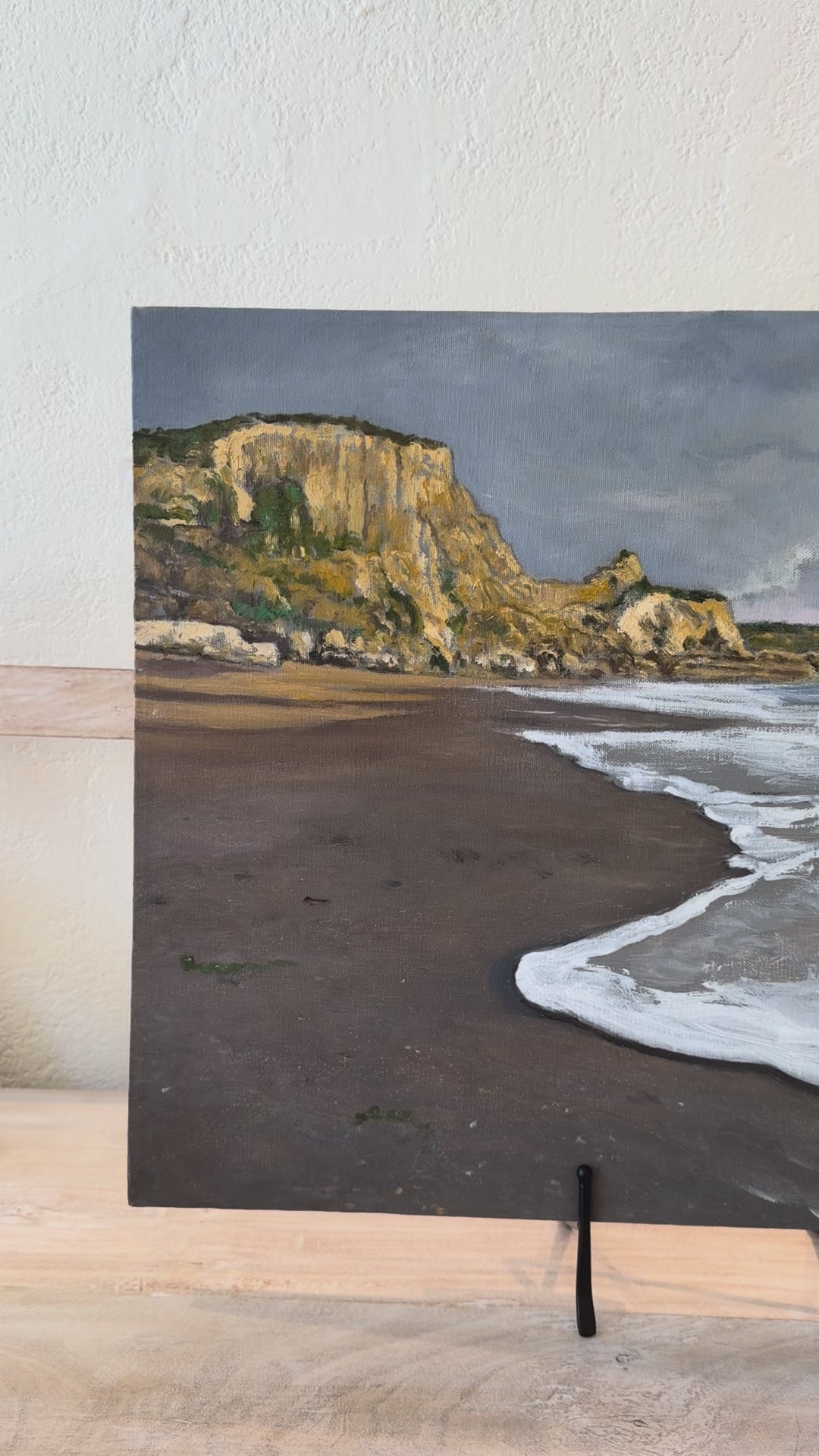 
                  
                    Load and play video in Gallery viewer, Point Reyes Shoreline
                  
                