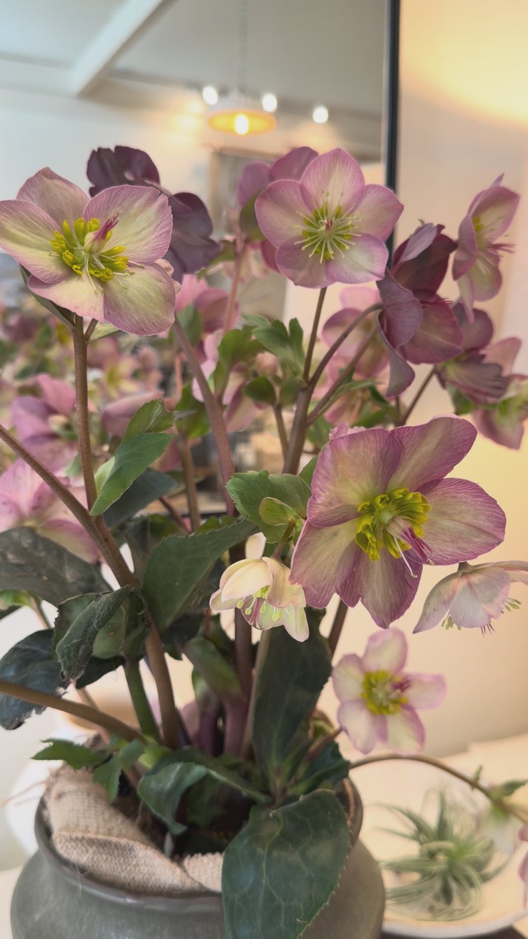 
                  
                    Load and play video in Gallery viewer, The Mira Vase
                  
                